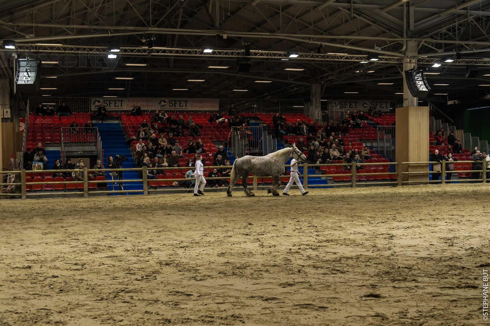 Visuel NOVELTY sur les Rings du Salon International de l'Agriculture 